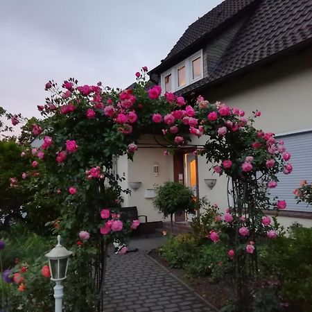 Willy Und Gudrun Apartment Rheda-Wiedenbrück Exterior foto